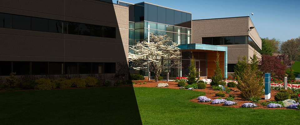 Saratoga Springs Landscapers