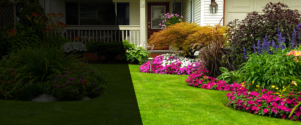Saratoga Springs Landscapers