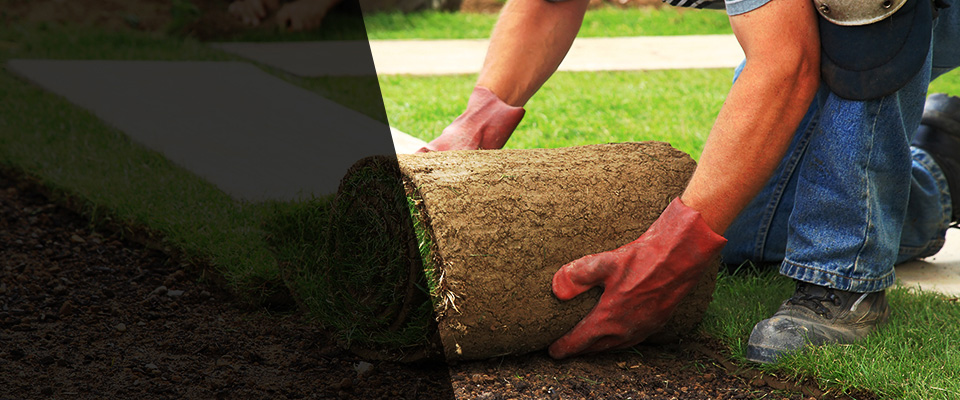 Saratoga Springs Landscapers